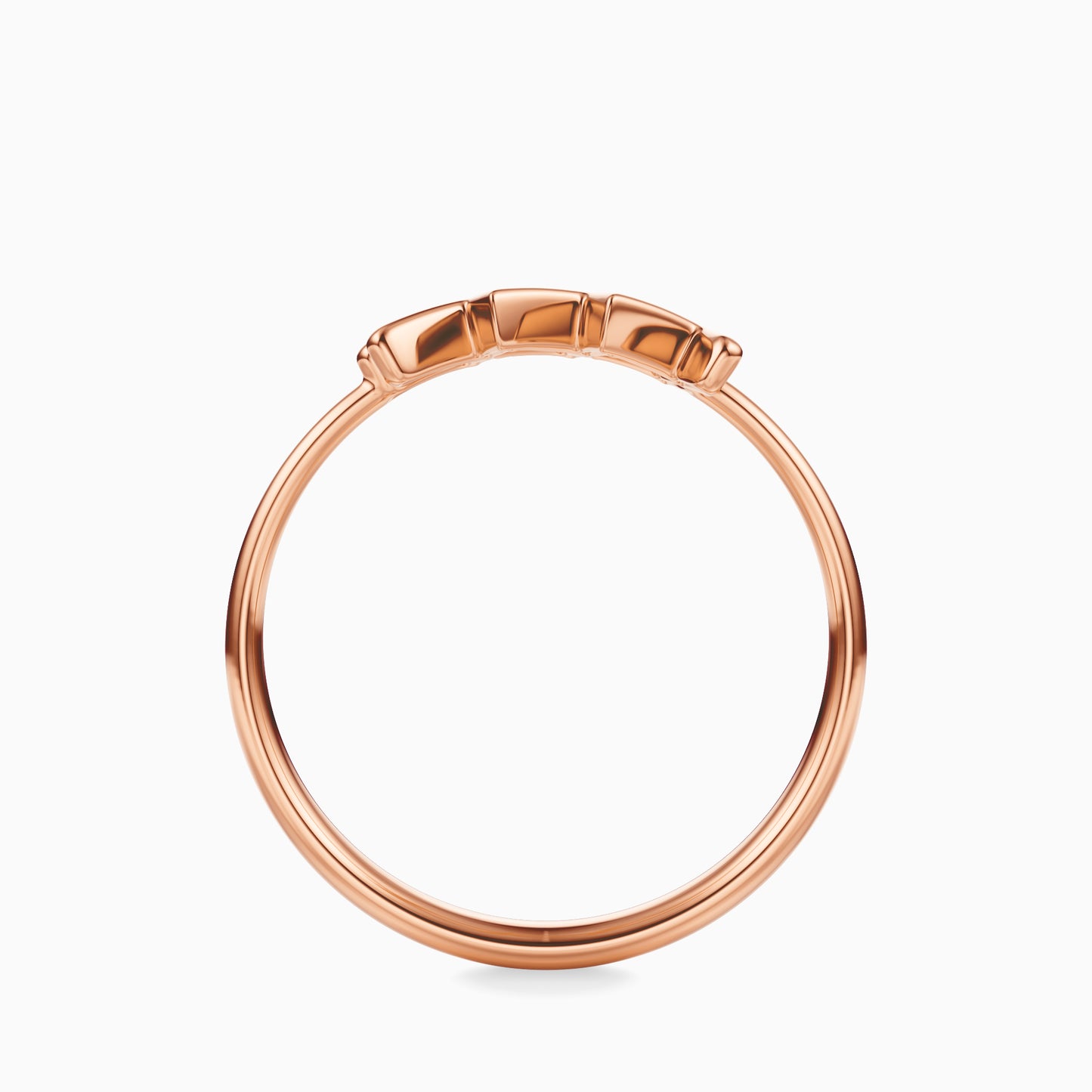 Large Aquarius Ring