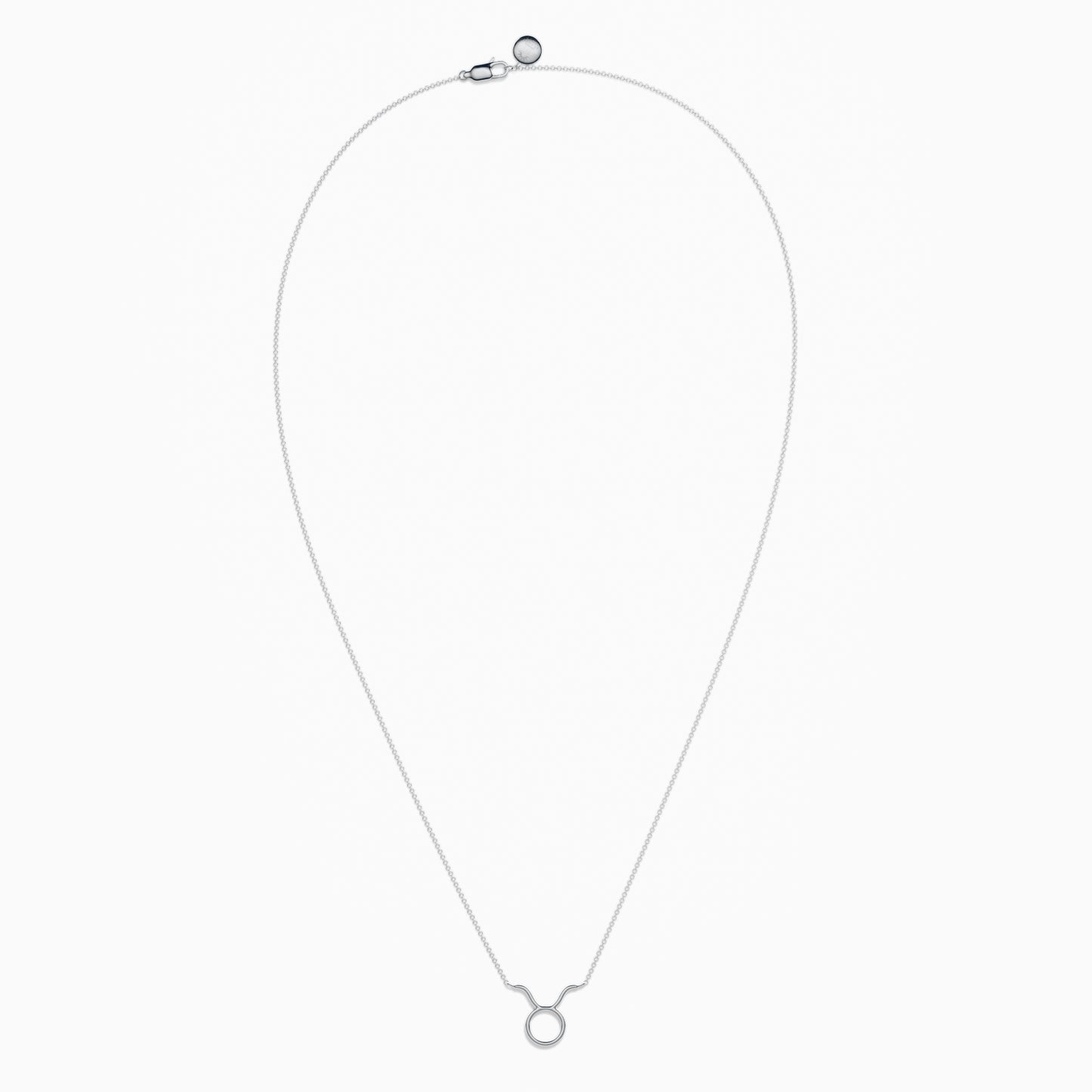 Large Taurus Necklace