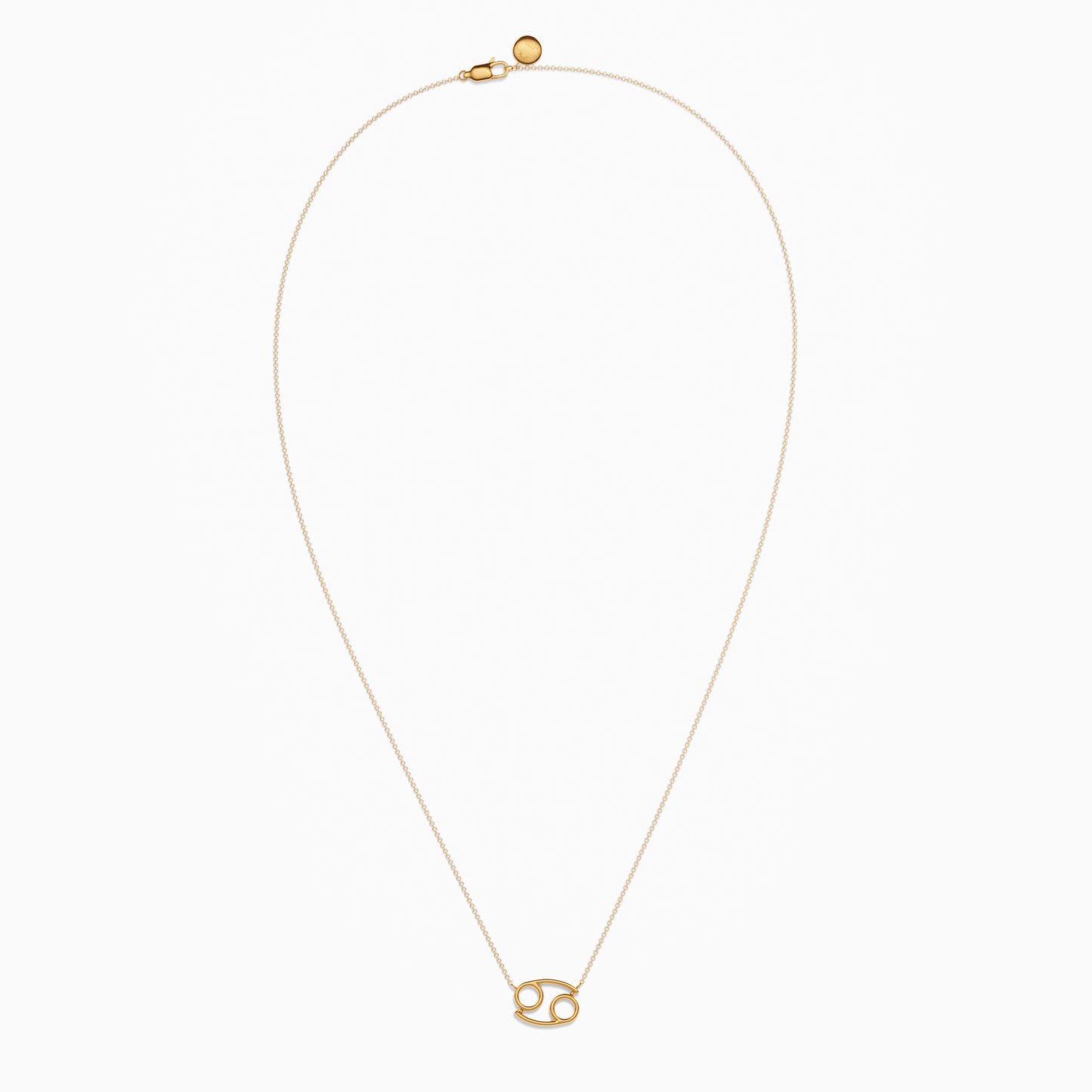 Large Cancer Necklace