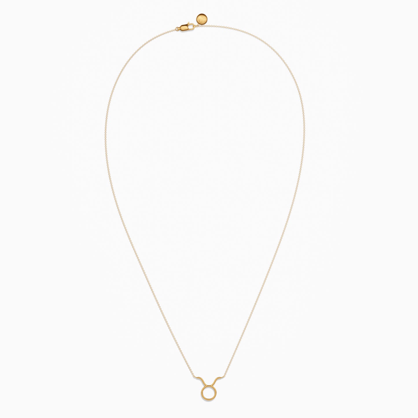 Large Taurus Necklace