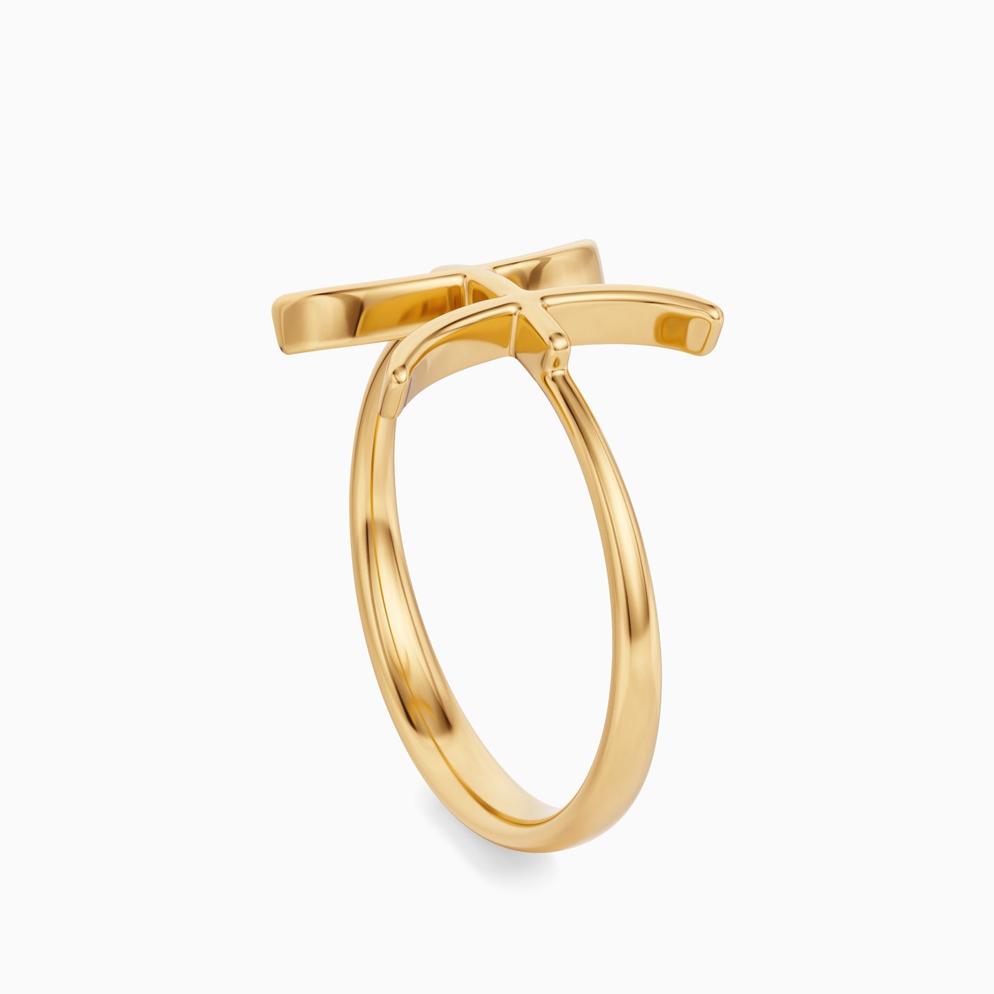 Large Pisces Ring