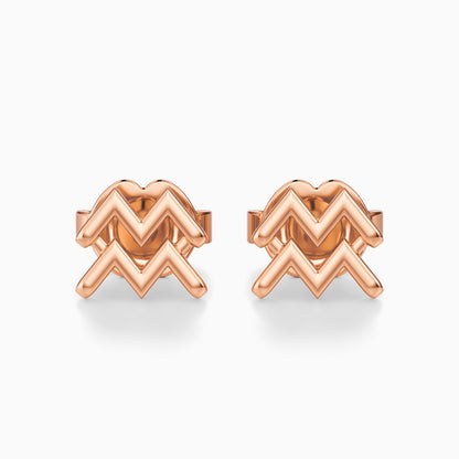 Aquarius Stud Earrings