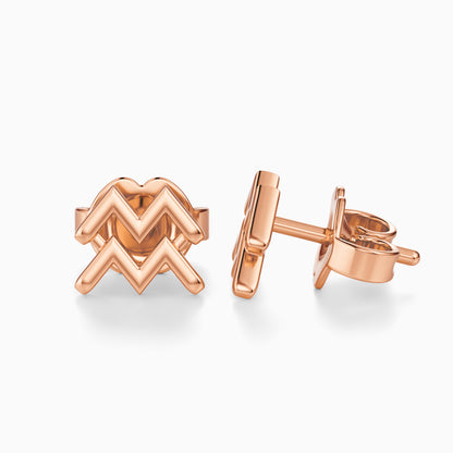 Aquarius Stud Earrings