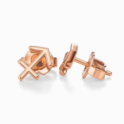 Sagittarius Stud Earrings