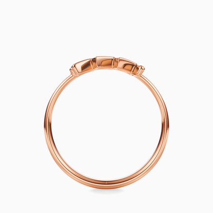 Large Aquarius Ring