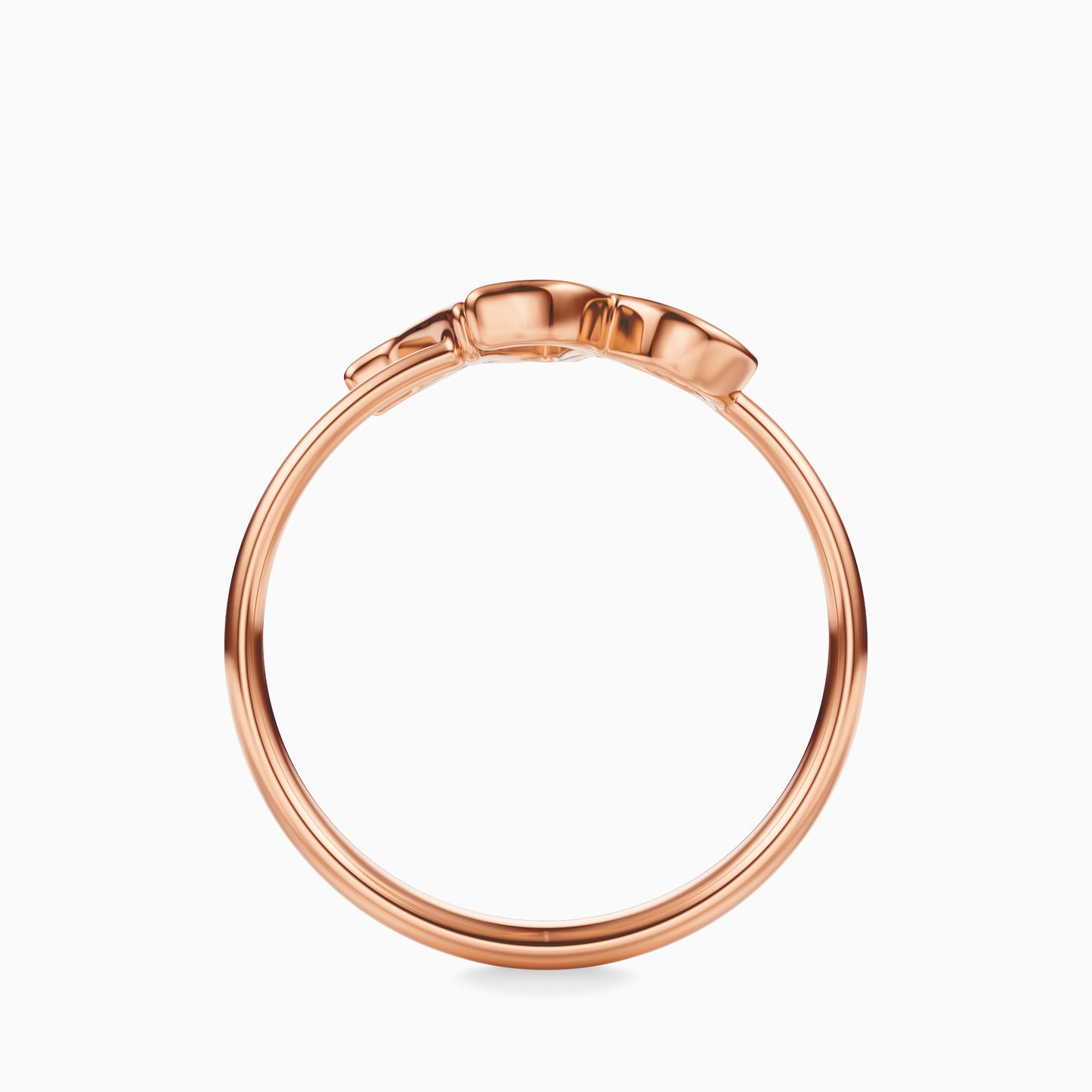 Large Capricorn Ring