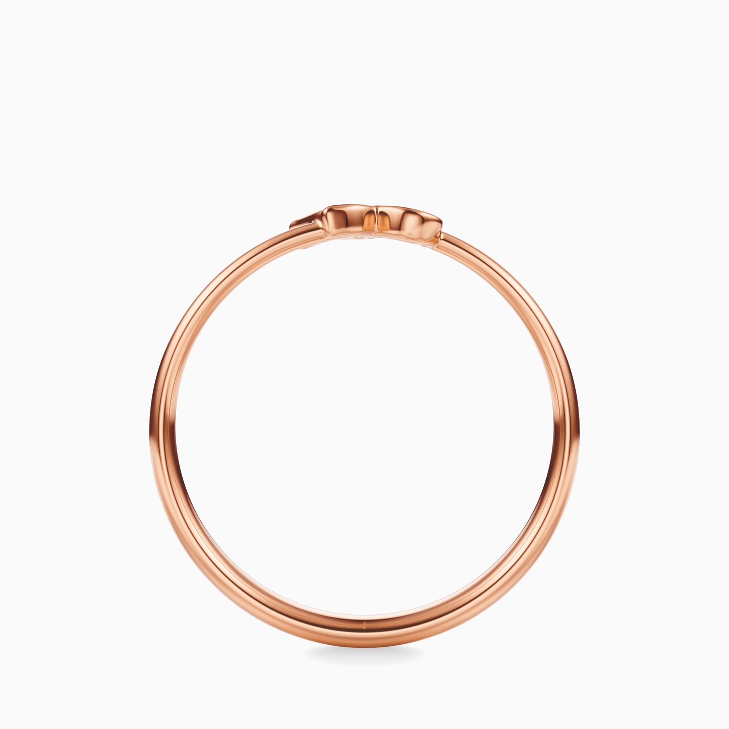 Capricorn Ring