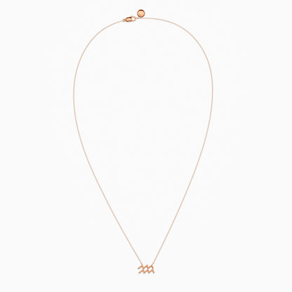 Large Aquarius Necklace
