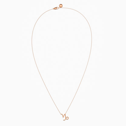Large Capricorn Necklace