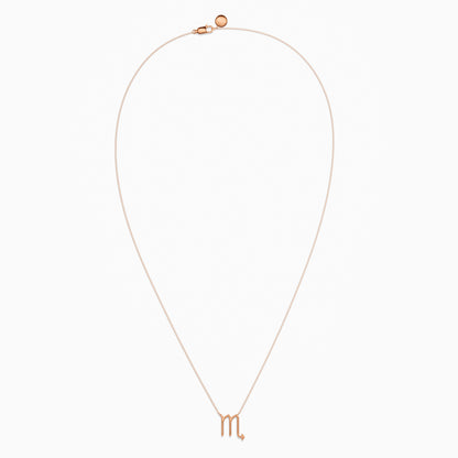 Large Scorpio Necklace