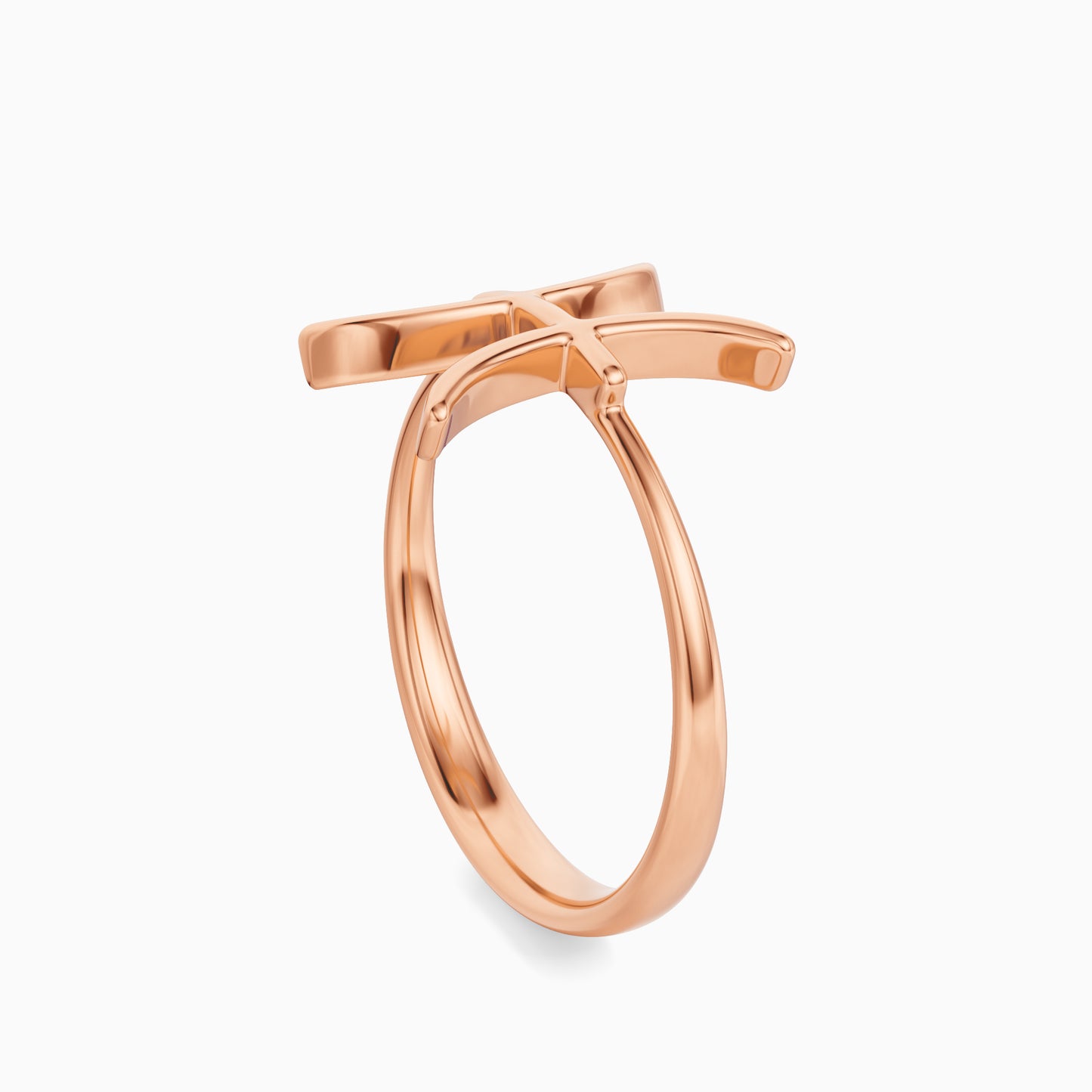 Large Pisces Ring
