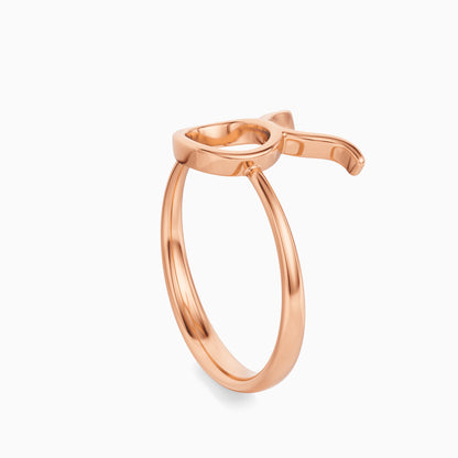 Large Taurus Ring