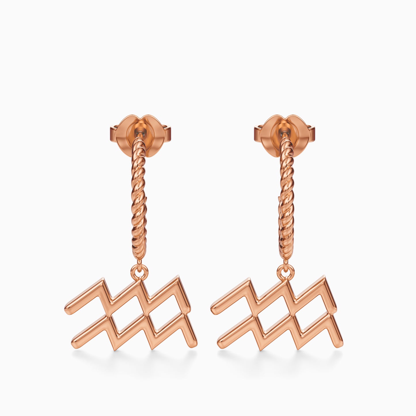 Large Aquarius Dangle Earrings