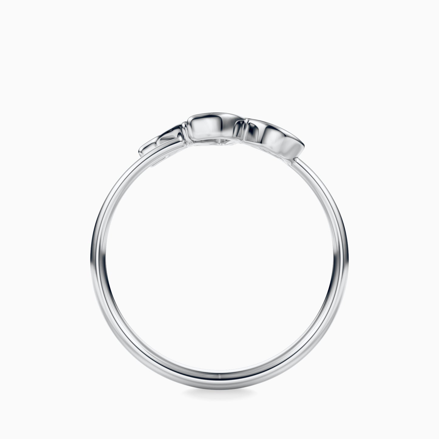 Large Capricorn Ring