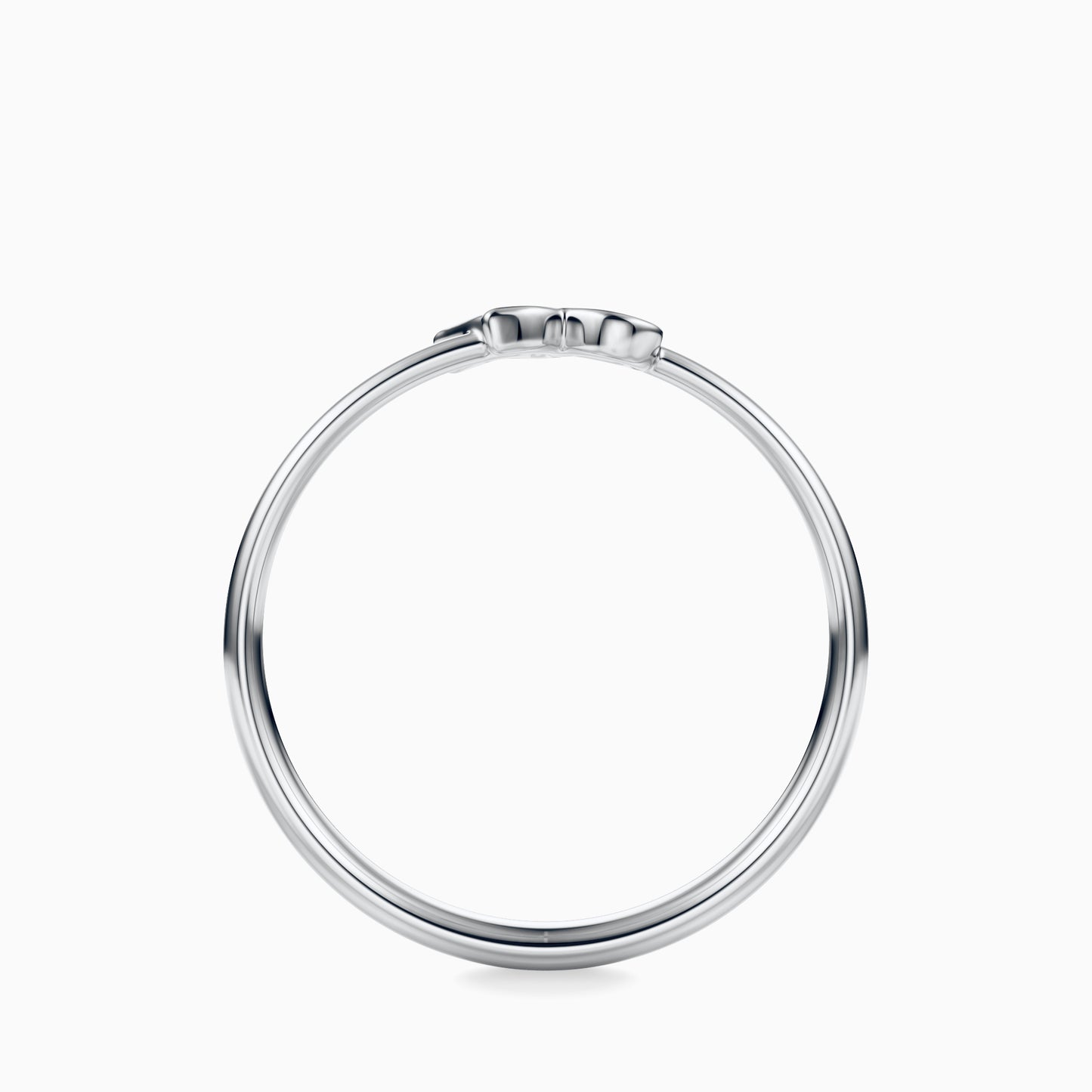 Capricorn Ring