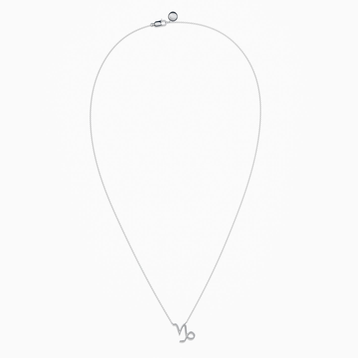 Large Capricorn Necklace