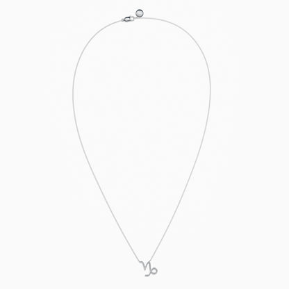 Large Capricorn Necklace