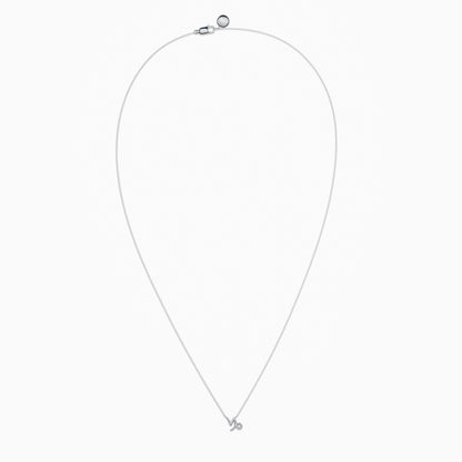 Capricorn Necklace