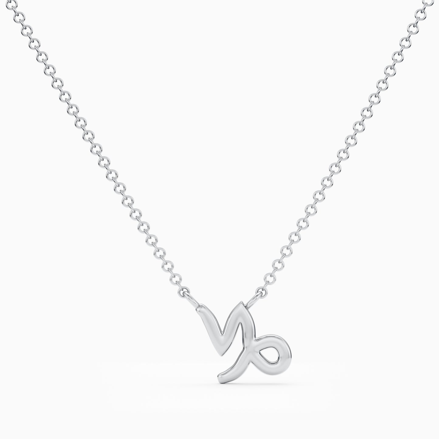 Capricorn Necklace