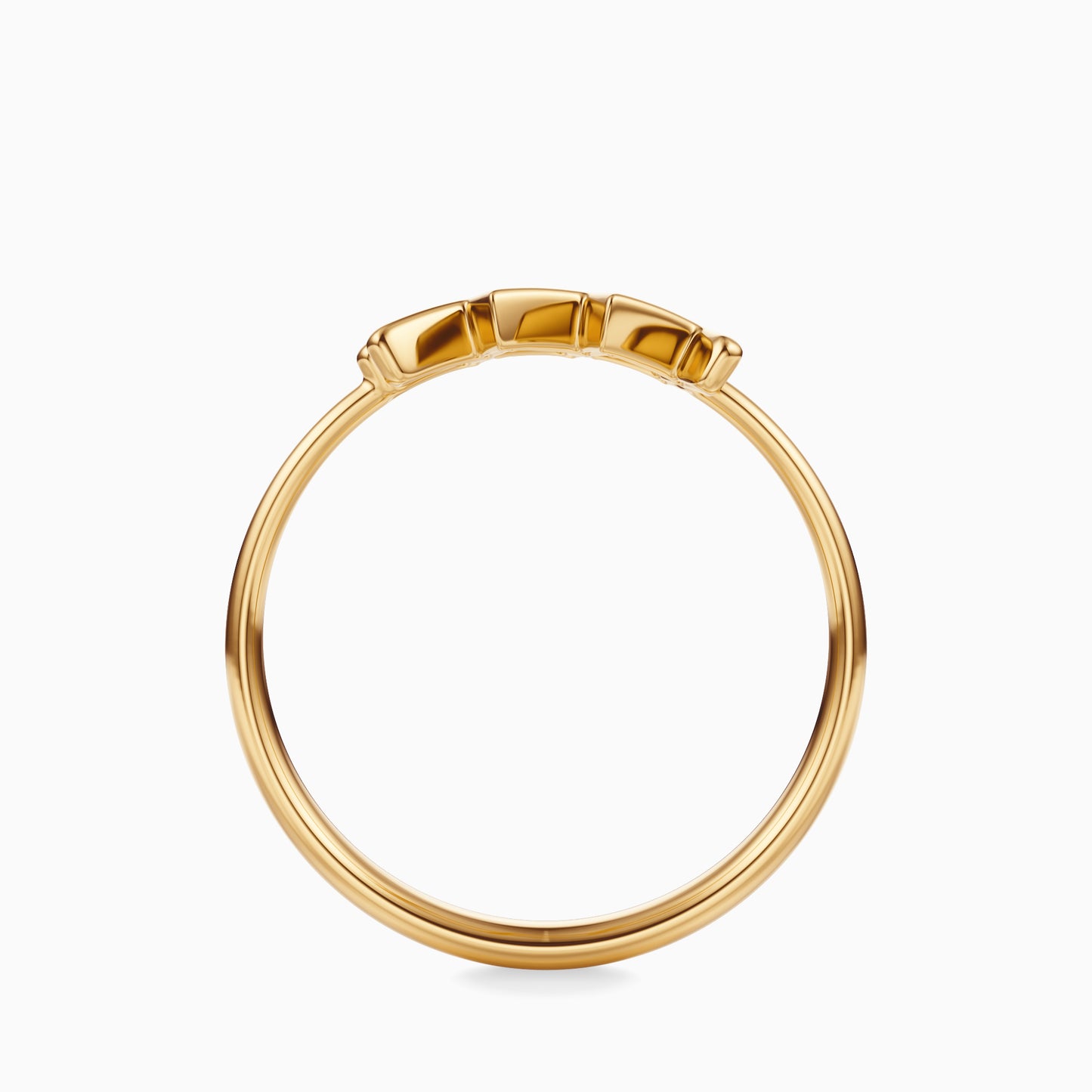 Large Aquarius Ring