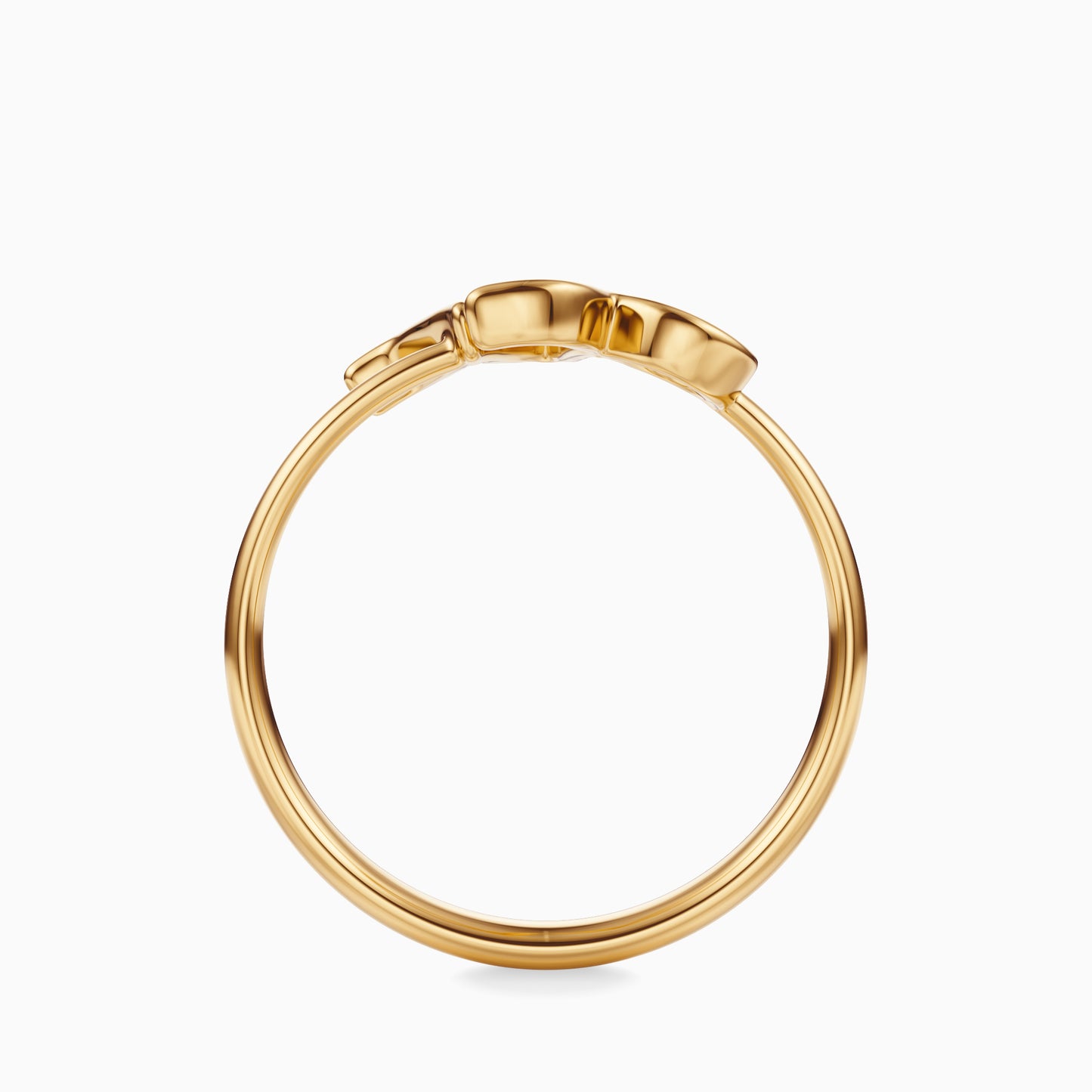 Large Capricorn Ring