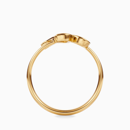 Large Capricorn Ring