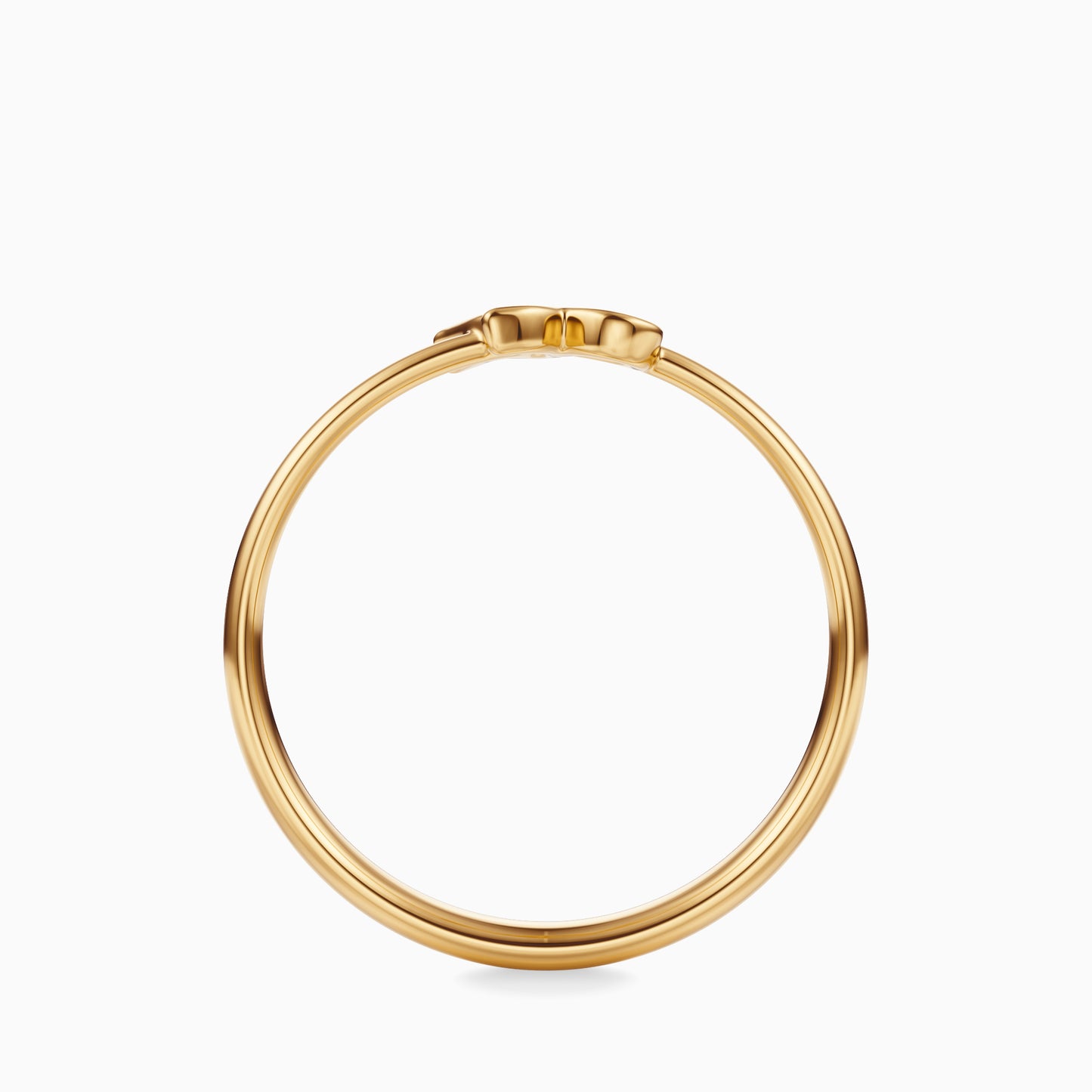 Capricorn Ring
