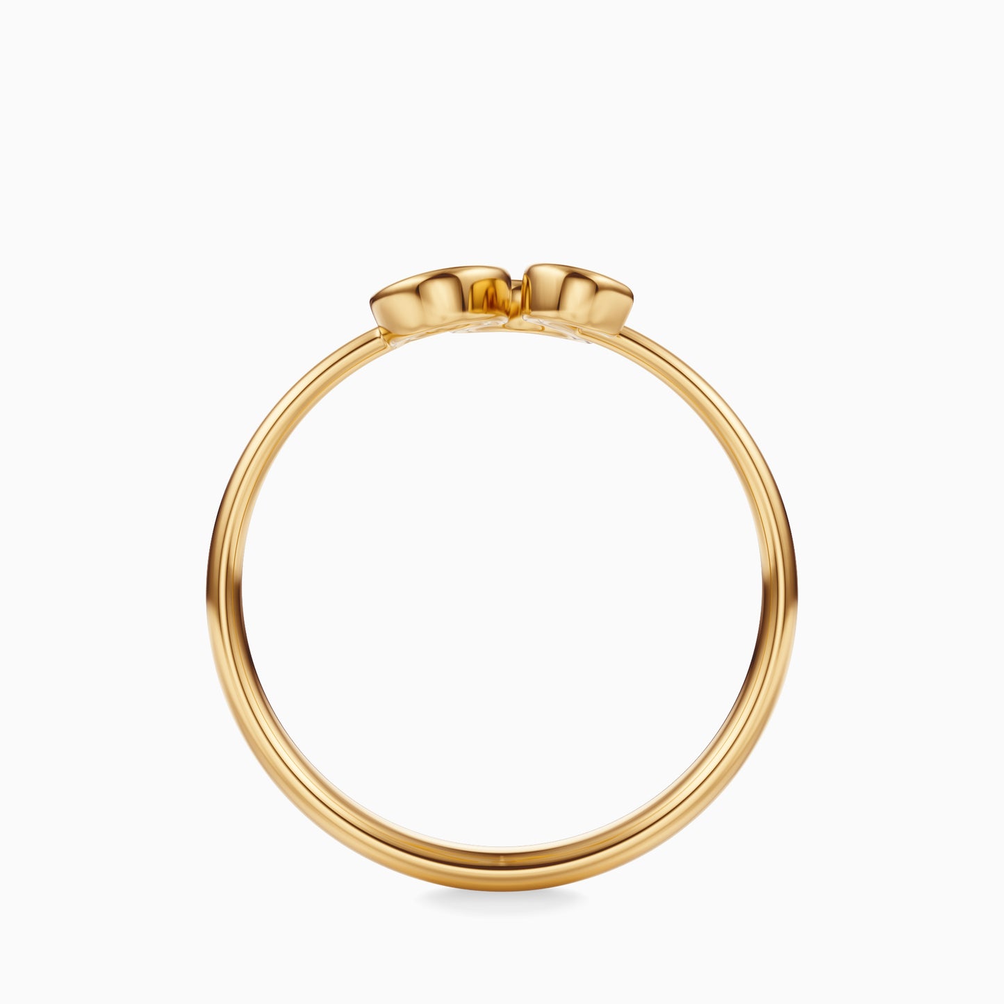Large Leo Ring