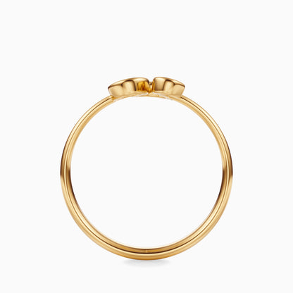 Large Leo Ring