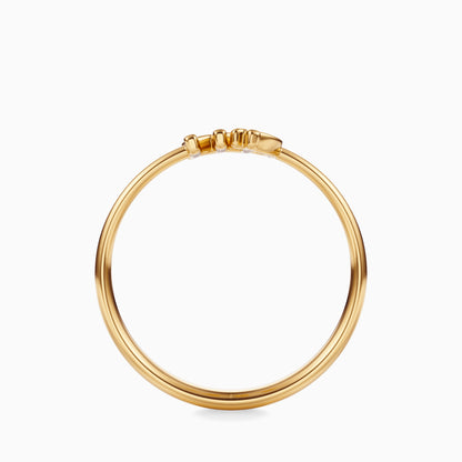 Virgo Ring