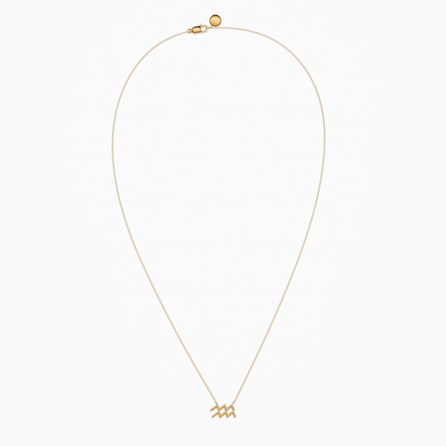 Large Aquarius Necklace