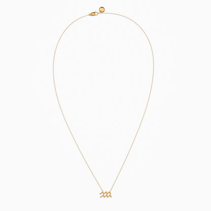 Large Aquarius Necklace