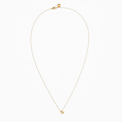 Capricorn Necklace