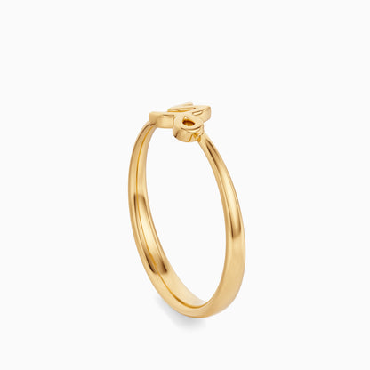 Capricorn Ring