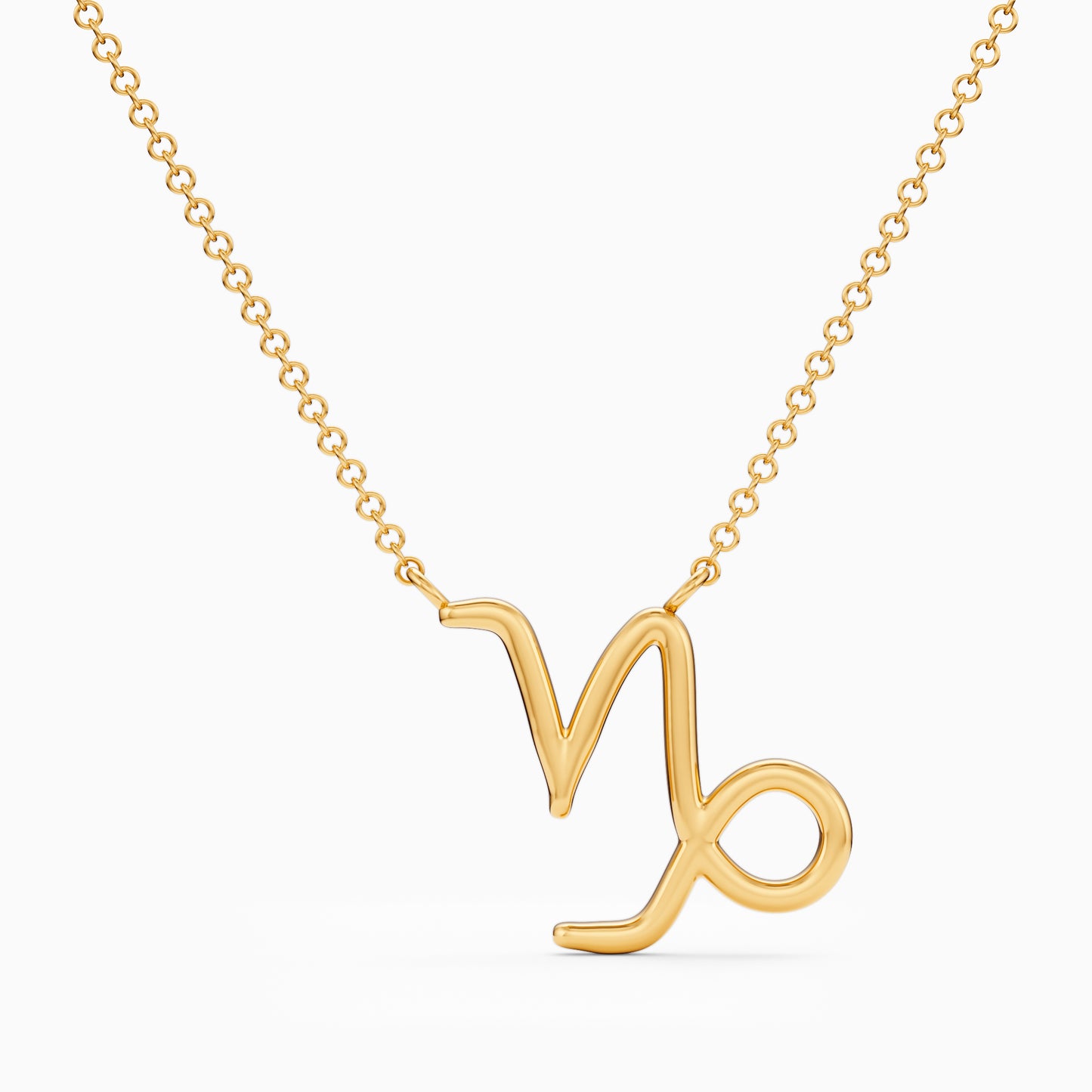 Large Capricorn Necklace